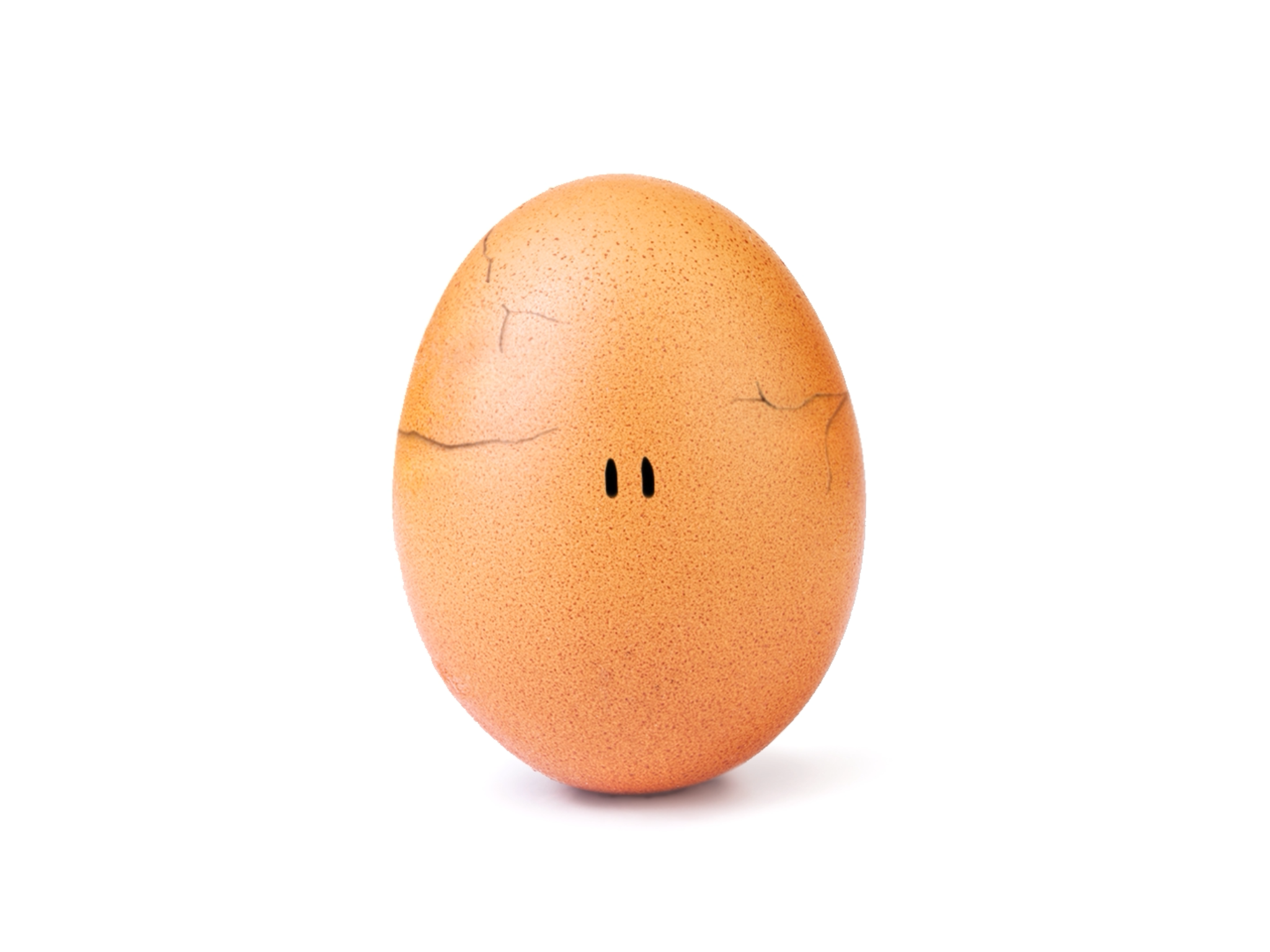 World Record Egg Thumbnail